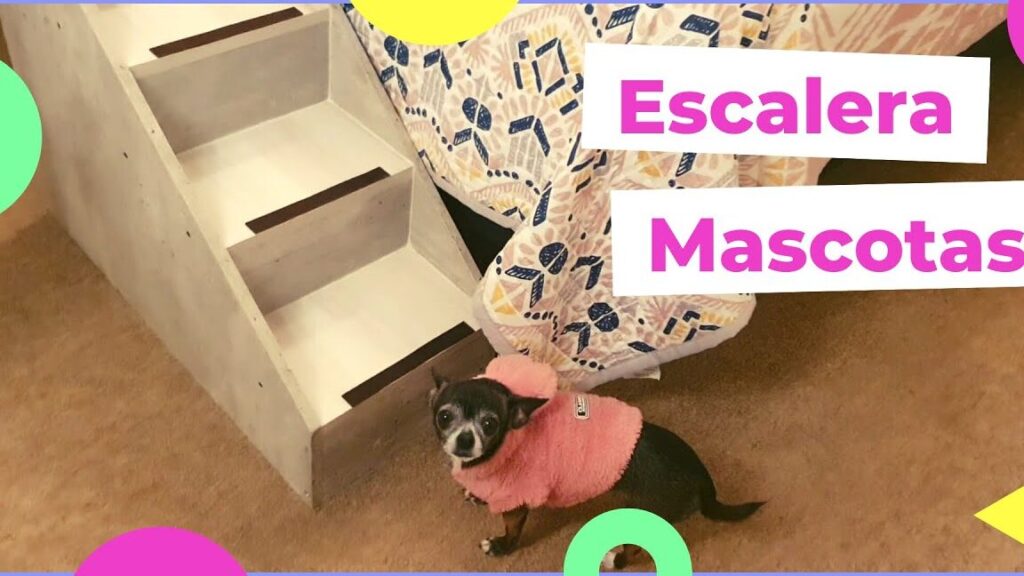 como construir una escalera para perros en casa