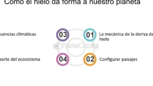 como dominar el toque congelado en 6 simples pasos