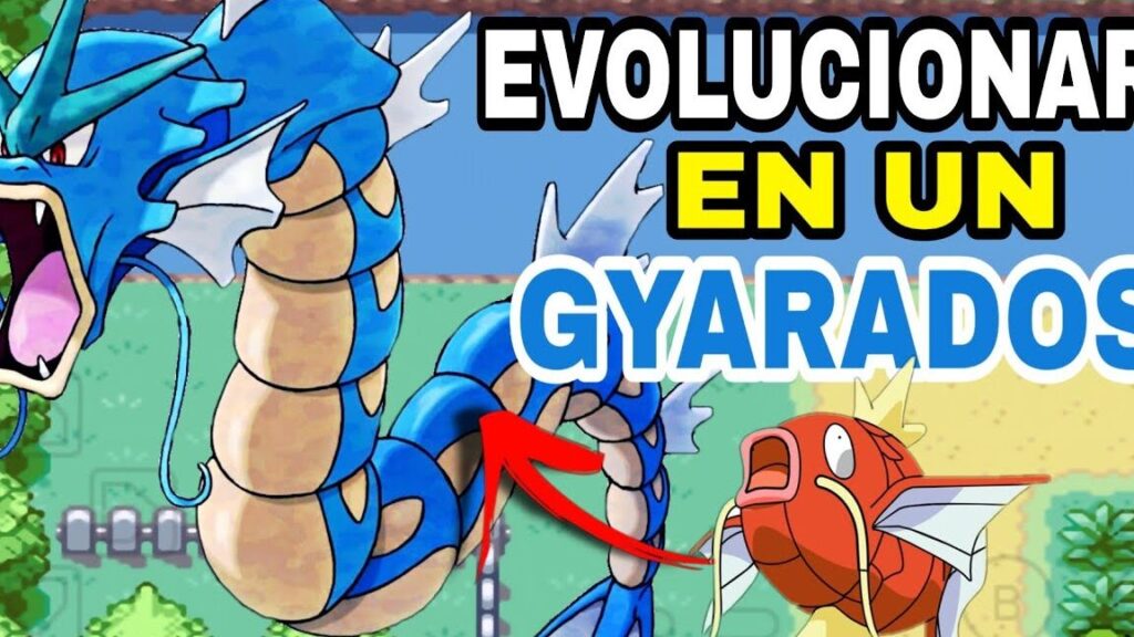 como hacer evolucionar a magikarp en gyarados