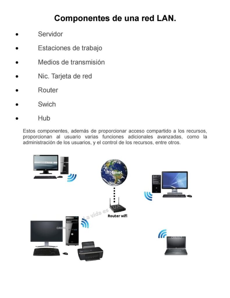 cuales son los componentes de una red lan y cual es su funcion