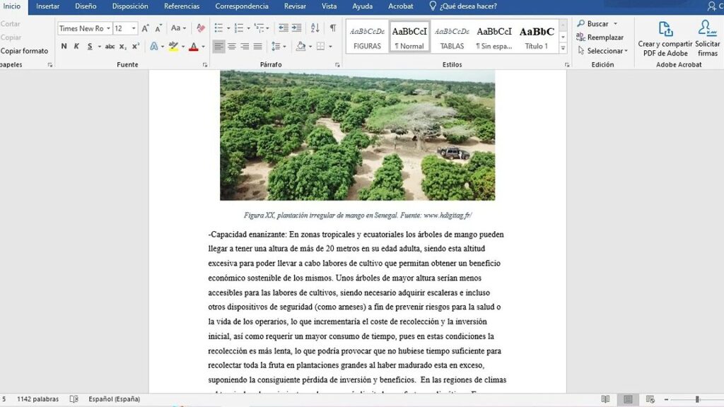 por que word no me permite escribir en el documento