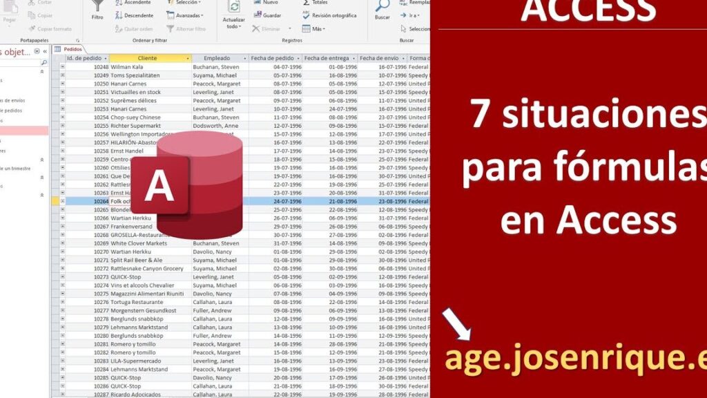 que es un campo en microsoft access y por que es crucial