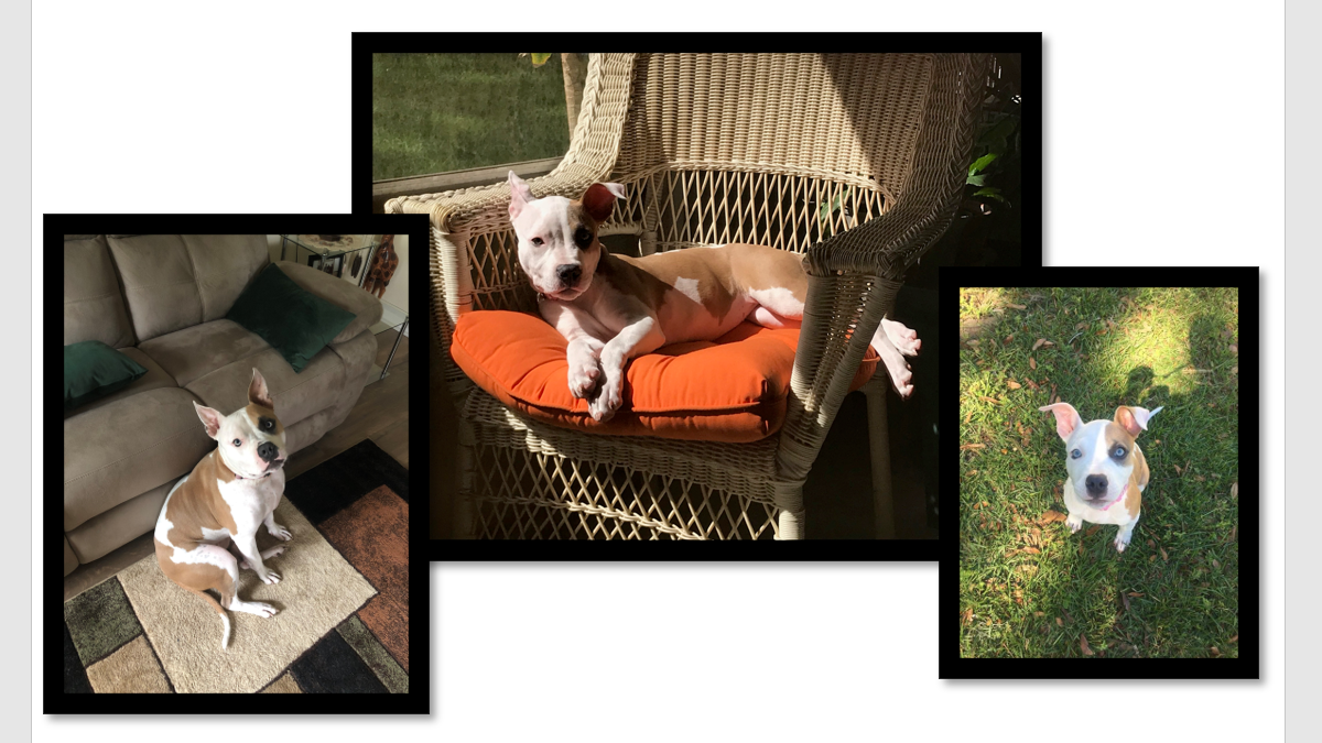 Cómo superponer imágenes en Word: guía paso a paso