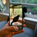 Cómo ver fotos ocultas en el iPhone y gestionarlas fácilmente