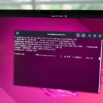 FTP CLI Linux: Guía completa para transferir archivos seguros