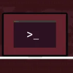 Gzip extraer y comprimir archivos en Linux: guía completa