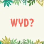 Hyd significa en texto: ¿qué significa y cómo usarlo?