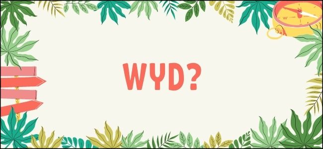 Hyd significa en texto: ¿qué significa y cómo usarlo?