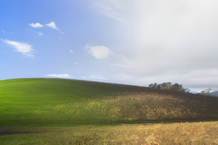 La Mitica Colina De Windows Xp 28 Anos Despues Y Su Cambio
