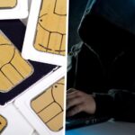 Las granjas de tarjetas SIM: origen del spam y su coste elevado