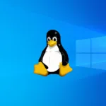 Leer partición de Linux en Windows: 3 métodos efectivos