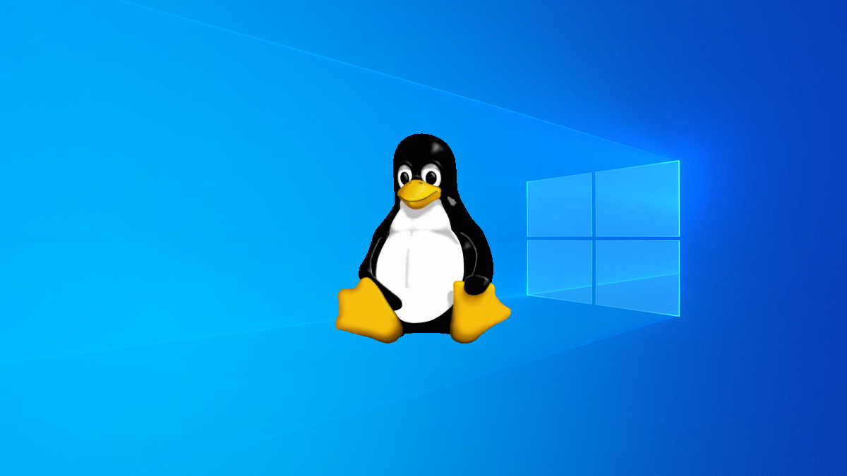 Leer partición de Linux en Windows: 3 métodos efectivos
