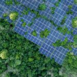 Los Paneles Solares Salvan Vidas Y Asi Lo Logran