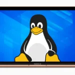 Old PC Linux: Distribuciones ligeras para revitalizar tu PC