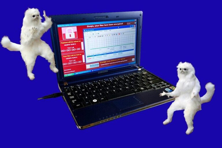 Pc Con Windows Xp Infectado Vendido Como Arte Por 1 3 Millones
