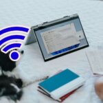 Problemas De Conexion A Internet En Windows 11 Para Universitarios
