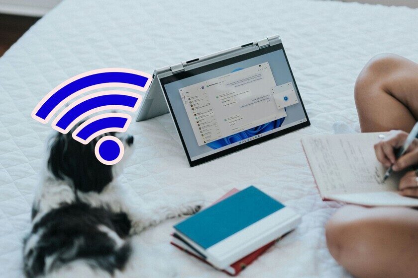 Problemas De Conexion A Internet En Windows 11 Para Universitarios