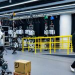 Robots Humanoides En Gimnasio China Busca Optimizarlos