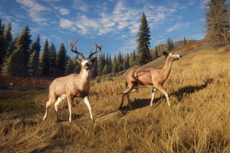 Se Crea Un Nuevo Genero De Videojuegos Para Satisfacer A Ejecutivos