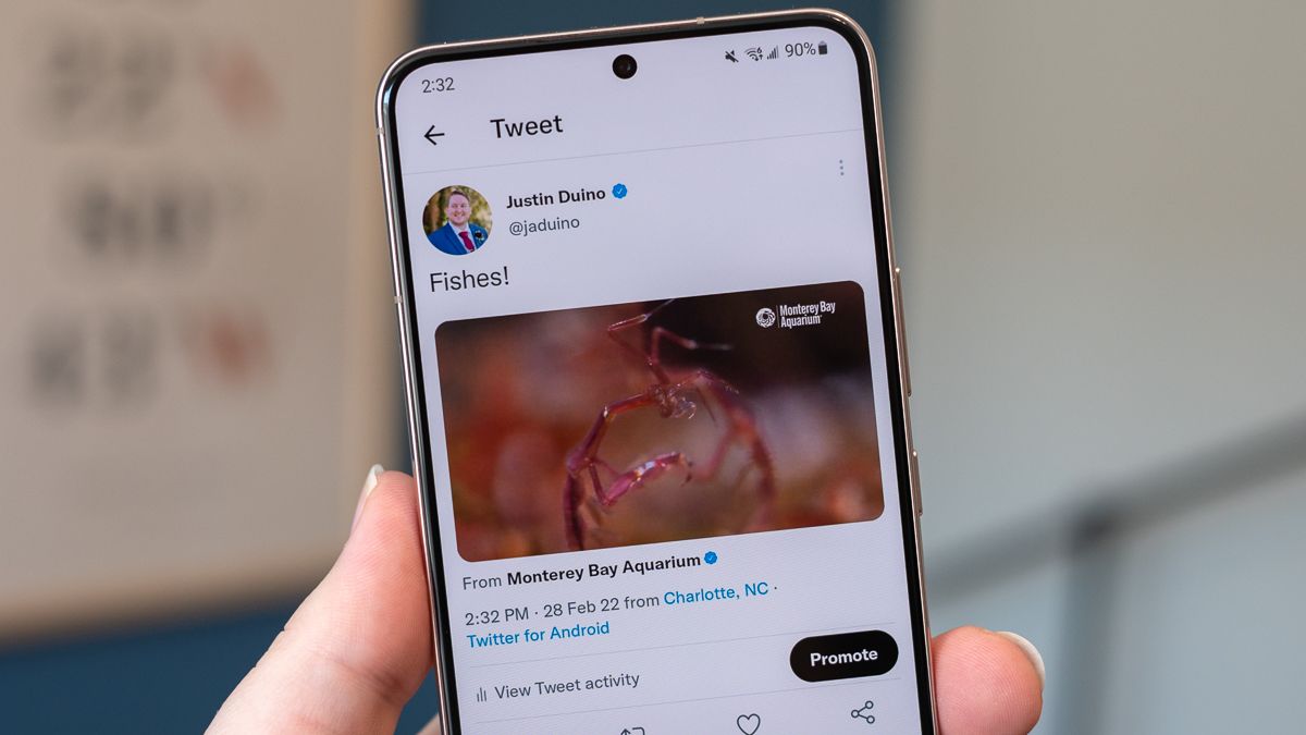 Tweet a video: cómo incrustar videos de Twitter fácilmente