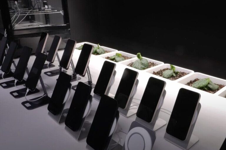 Uso Del Movil Mientras Carga Afecta La Bateria Resultados De 193 Dias Con 16 Iph