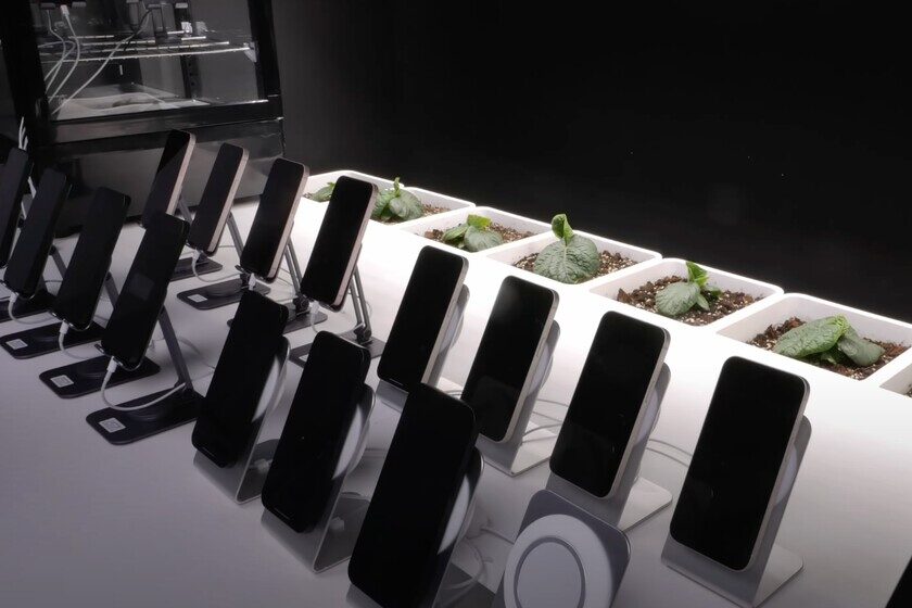 Uso Del Movil Mientras Carga Afecta La Bateria Resultados De 193 Dias Con 16 Iph